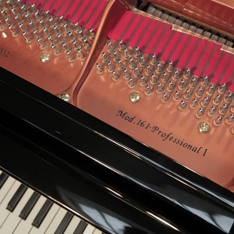 Wendl & Lung Mod.161 Professional I Mahogany