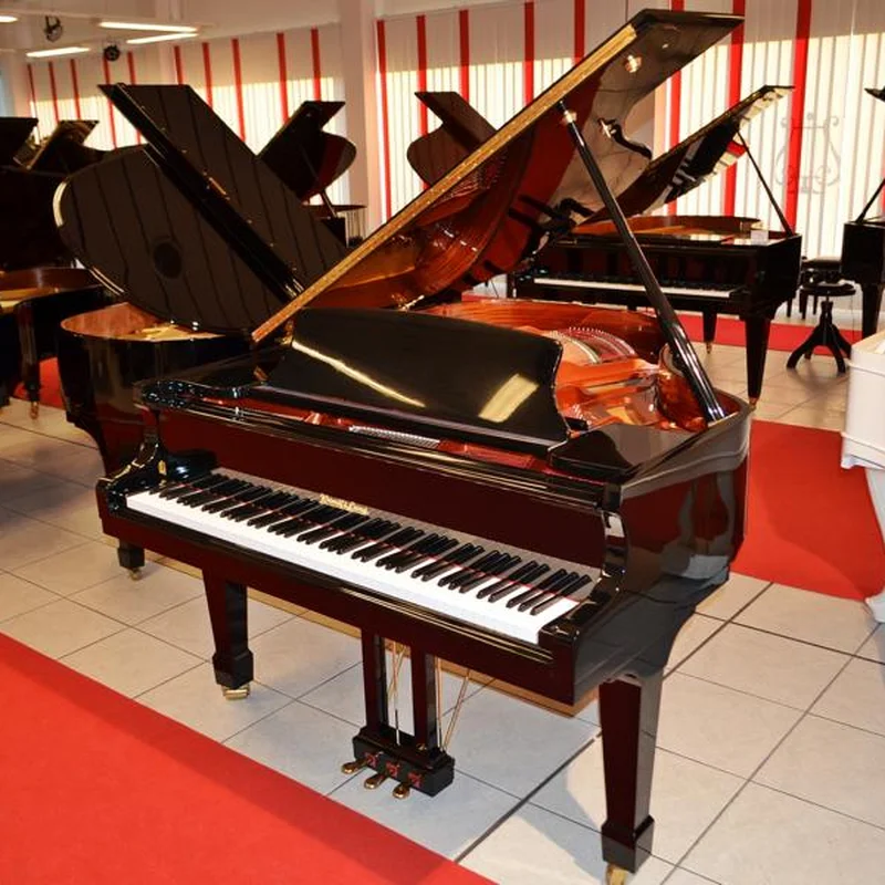 Wendl & Lung Mod.178 Professional II Mahogany