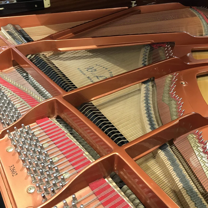 Wendl & Lung Mod.178 Professional II Mahogany