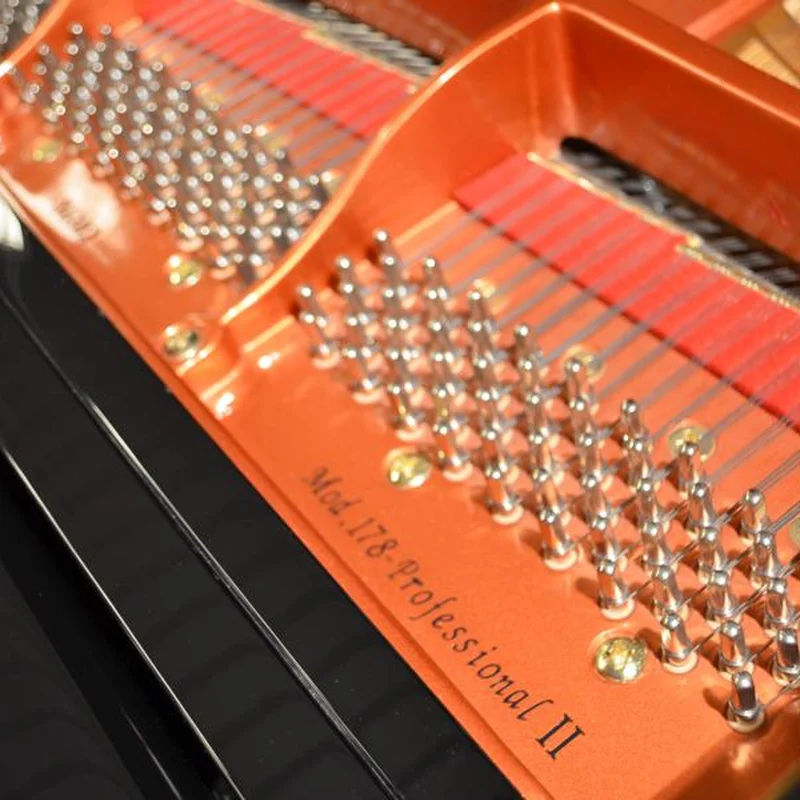 Wendl & Lung Mod.178 Professional II Mahogany