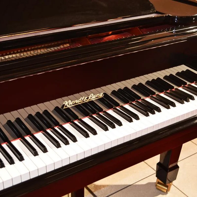 Wendl & Lung Mod.178 Professional II