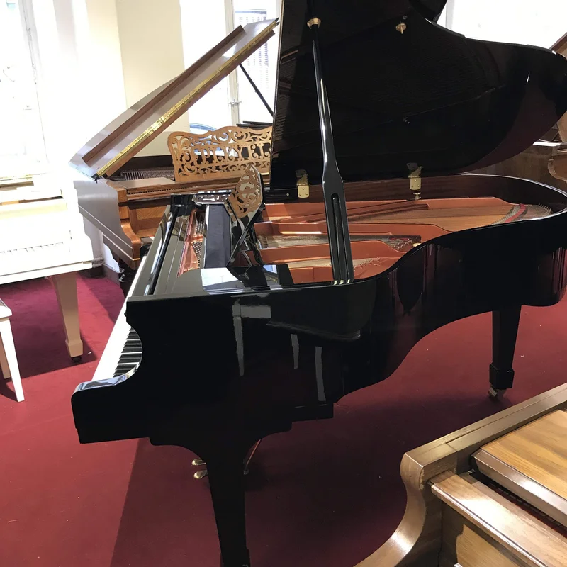 Wendl & Lung Mod.178 Professional II