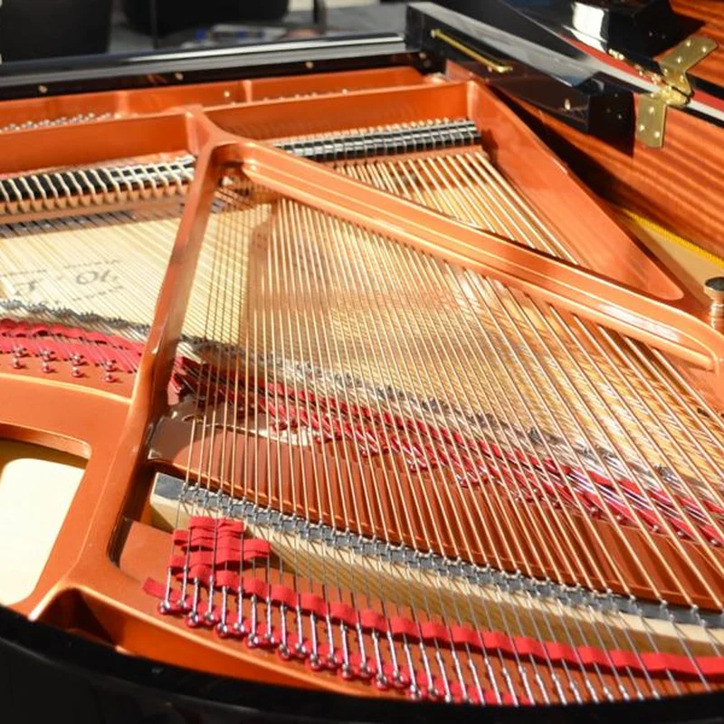 Wendl & Lung Mod.178 Professional II