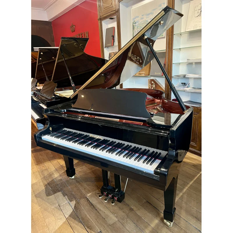 Wendl & Lung Mod.178 Professional II