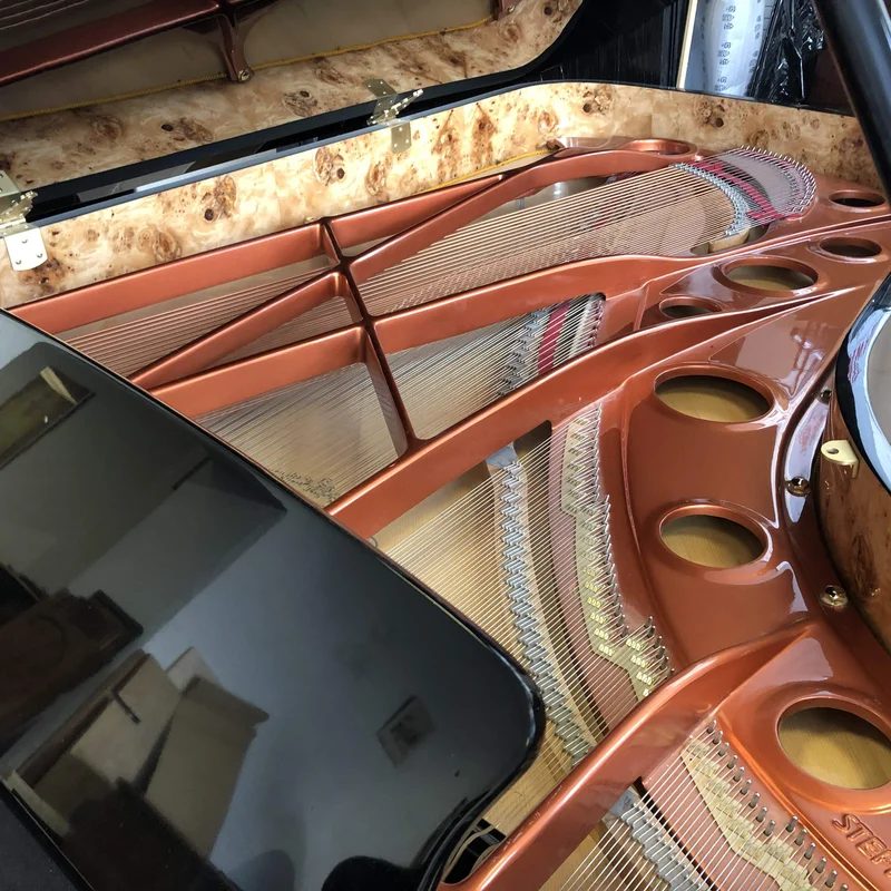 Wendl & Lung Mod.218 Concert I