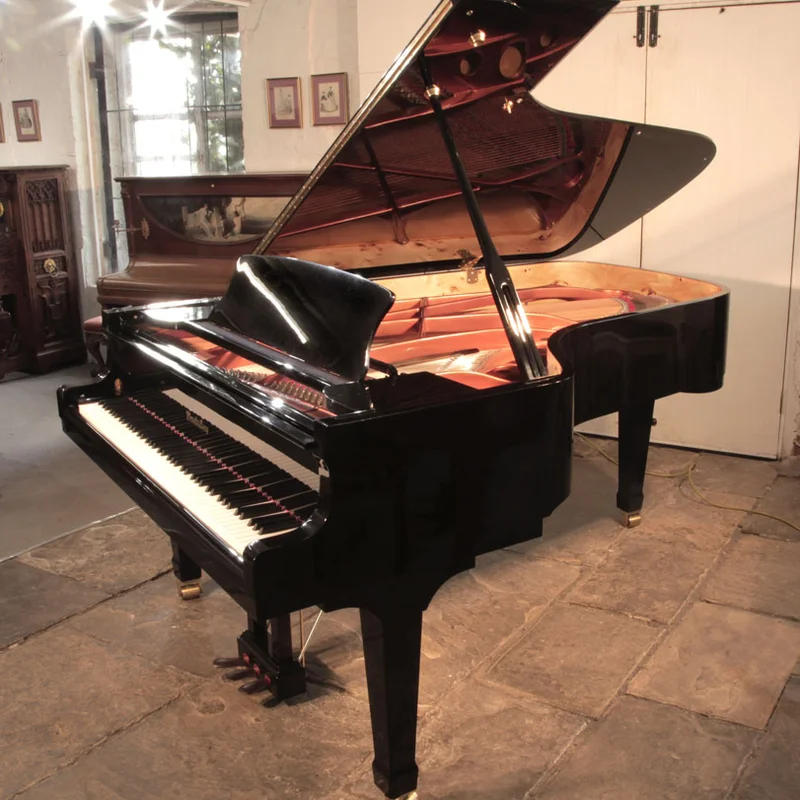 Wendl & Lung Mod.218 Concert I