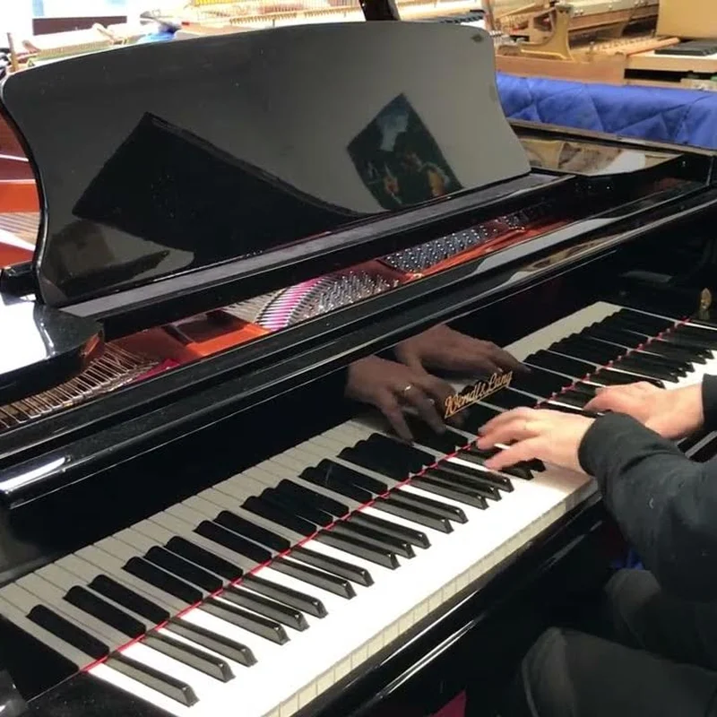 Wendl & Lung Mod.218 Concert I