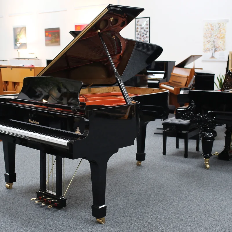 Wendl & Lung Mod.218 Concert I