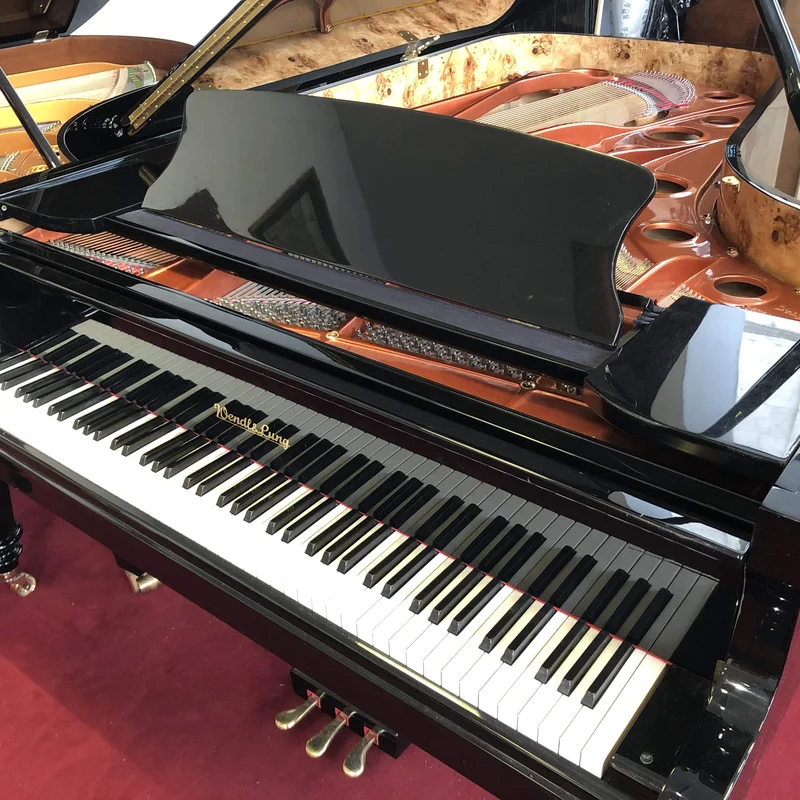 Wendl & Lung Mod.218 Concert I