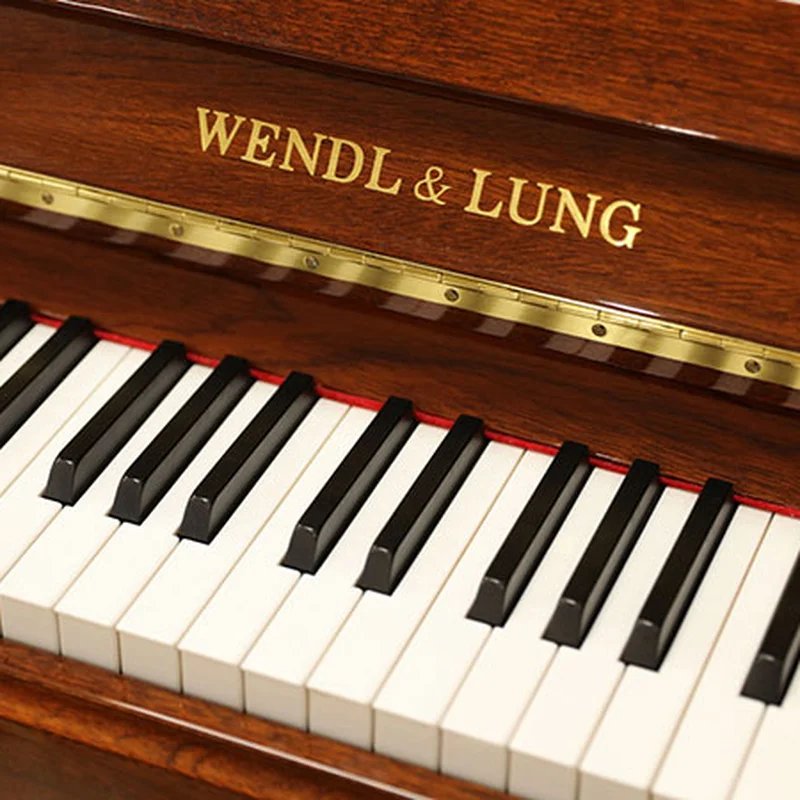 Wendl & Lung U-115W