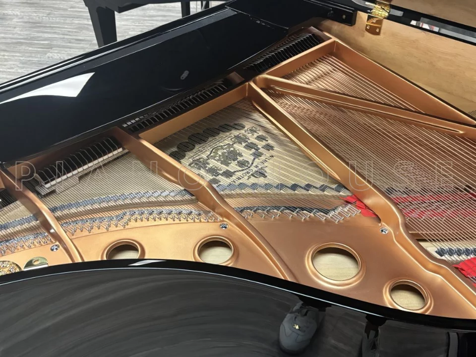 Wilhelm Grotrian WGS152