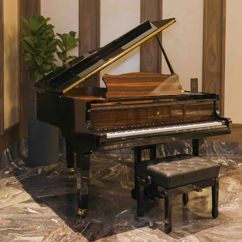 Wilhelm Grotrian WGS165