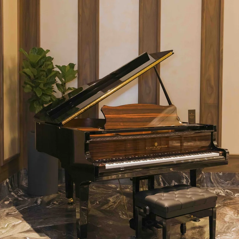 Wilhelm Grotrian WGS165