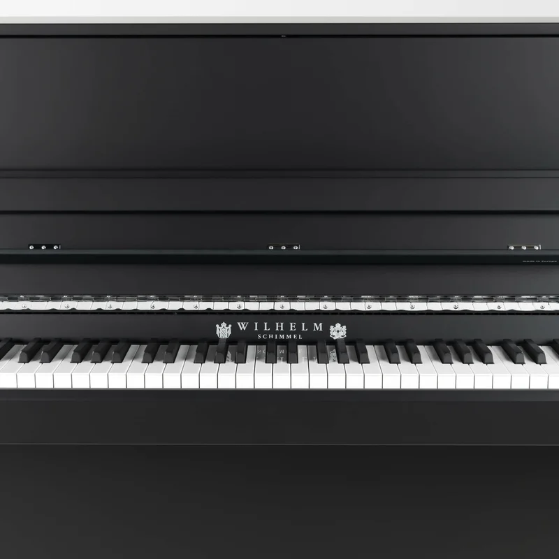 Wilhelm Schimmel W114 Modern Super Matt