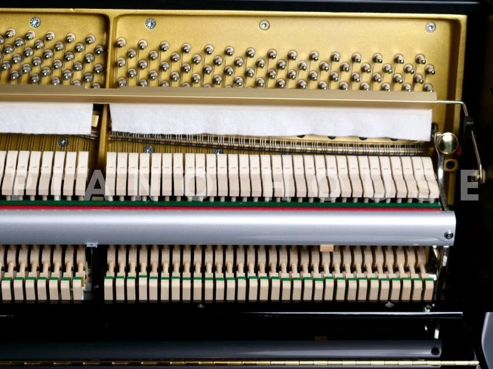 Wilhelm Schimmel W114 Tradition (Ebony High Gloss)