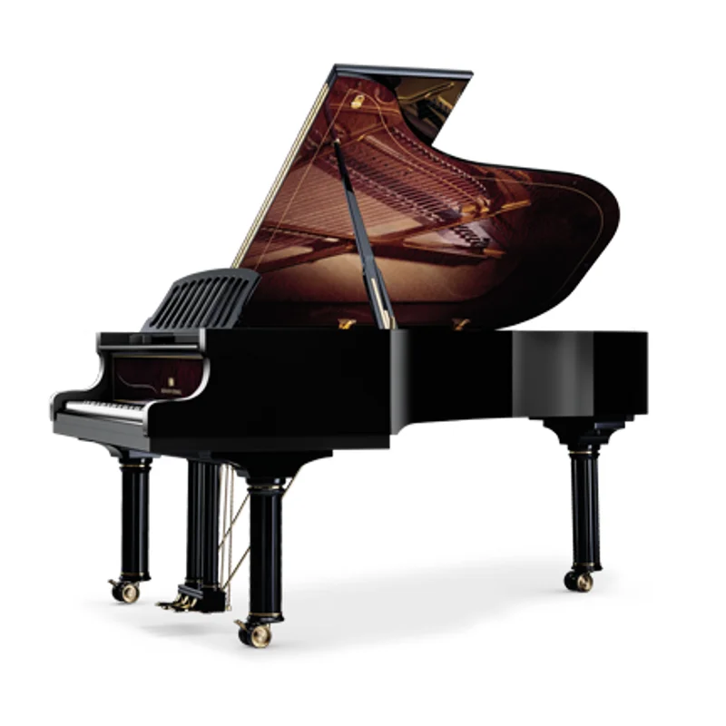 Wilhelm Schimmel W118 Tradition (Ebony High Gloss)