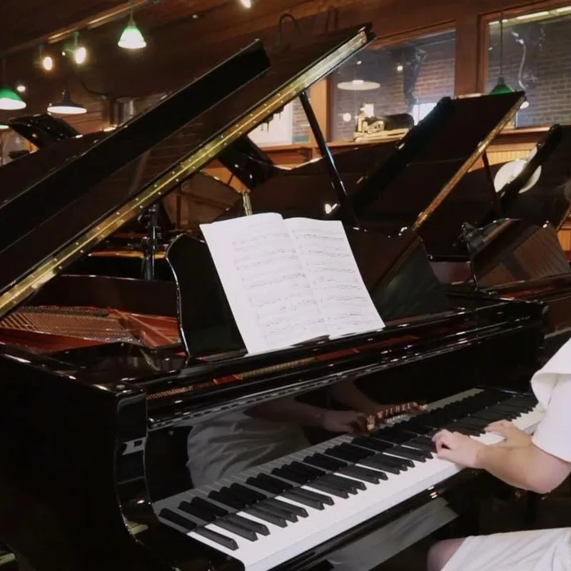 Wilhelm Schimmel W206 Tradition