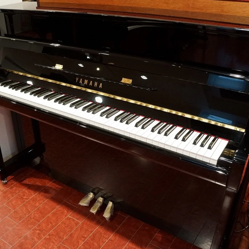 Yamaha B113