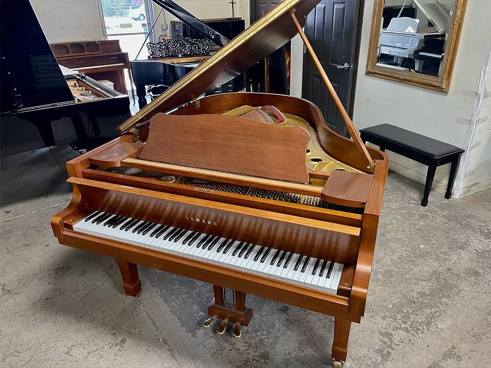 YAMAHA C3A WN AutoPlay