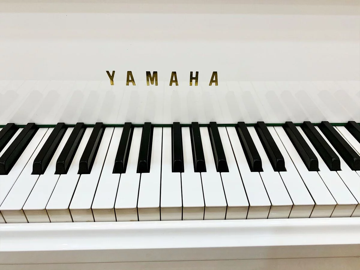 YAMAHA C5 Wh