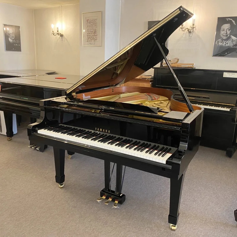 YAMAHA C5A PE Seri 4