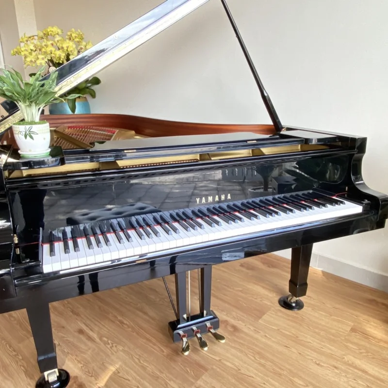 YAMAHA C5A PE Seri 4