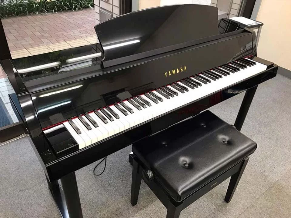 YAMAHA DGP-5