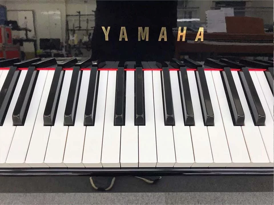 YAMAHA DGP-5