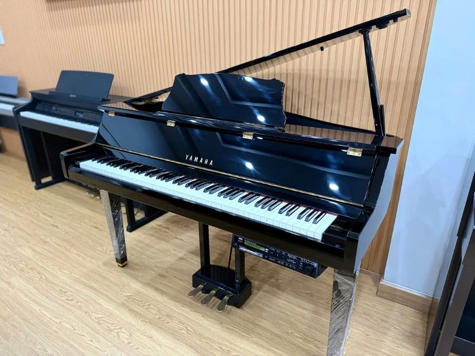 YAMAHA DGP2 XG