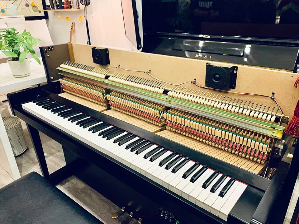 YAMAHA DUP-20 B