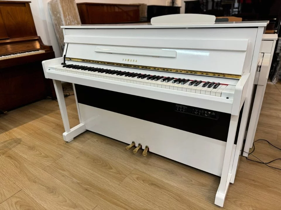 YAMAHA DUP-20 WH