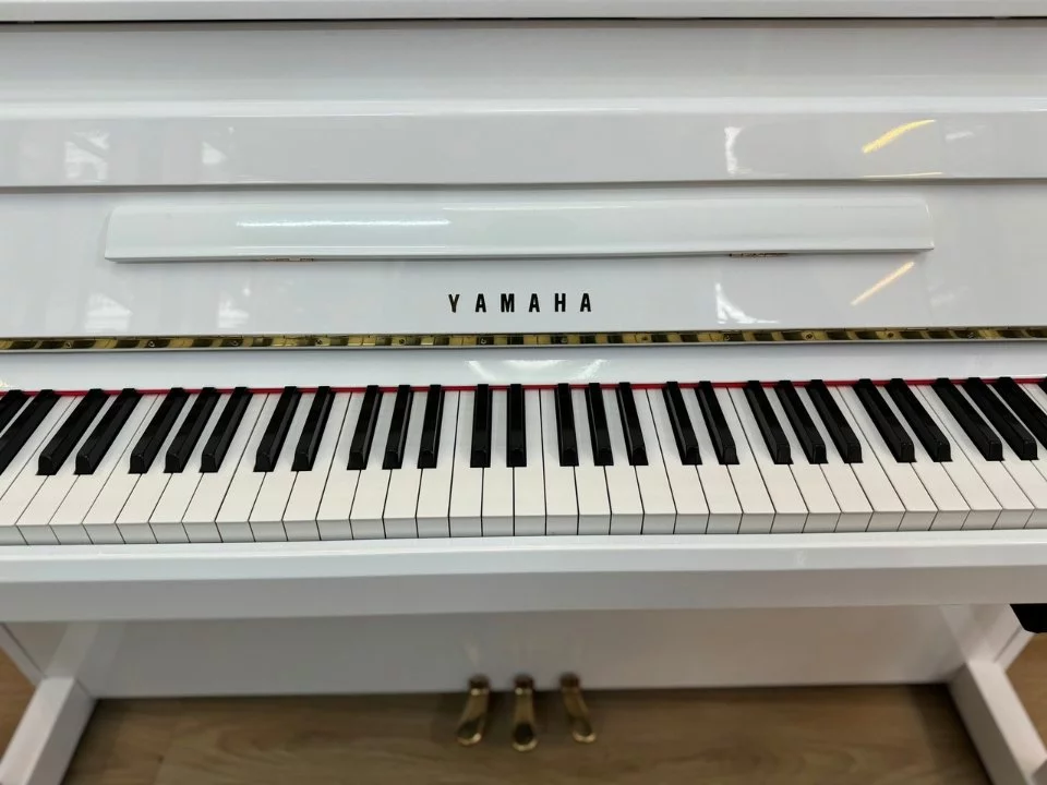 YAMAHA DUP-20 WH