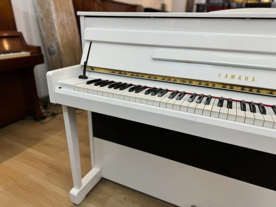YAMAHA DUP-20 WH