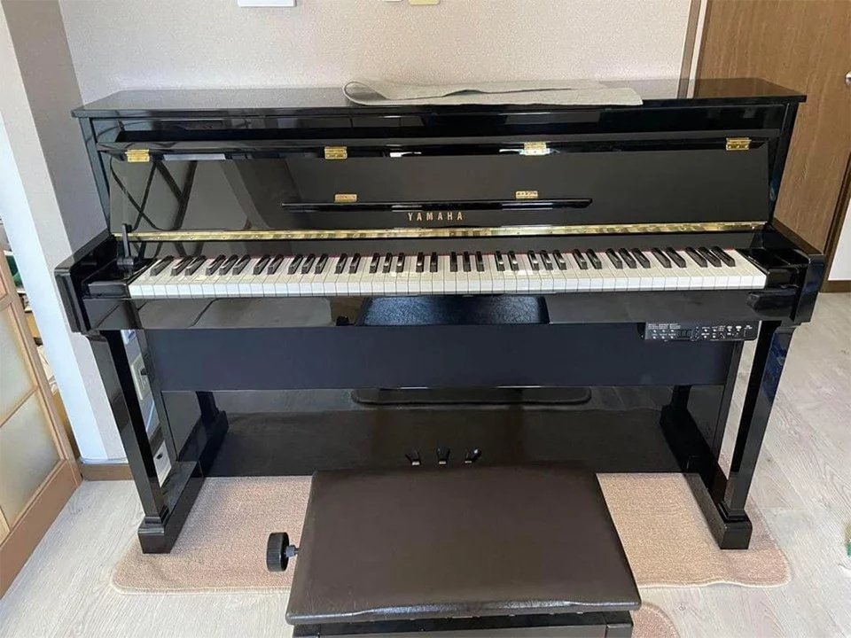 YAMAHA DUP-20 PE
