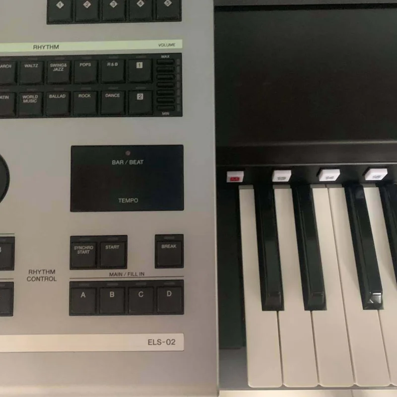 YAMAHA ELS-02C (New)