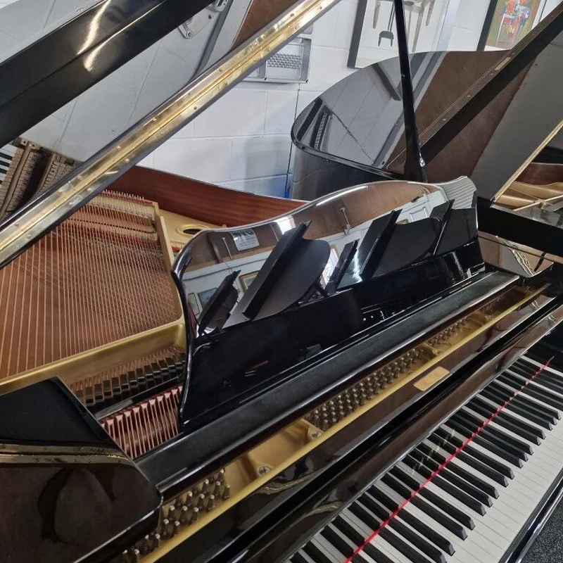 Yamaha G2 Black & Gold Polyester