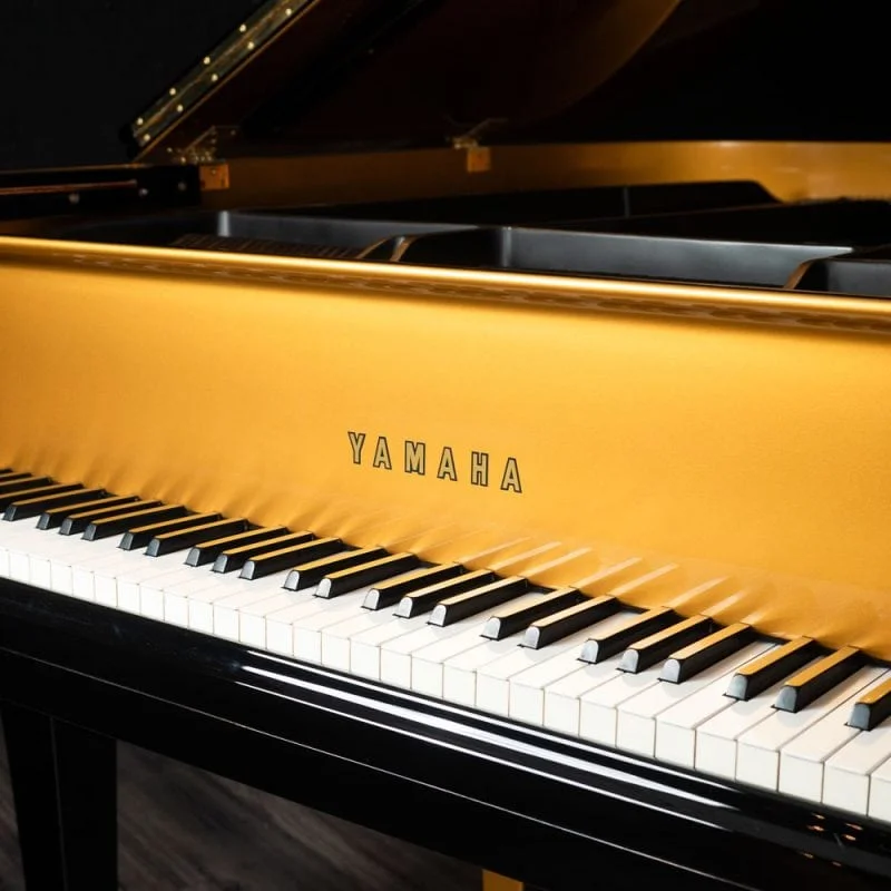 Yamaha G2 Black & Gold Polyester