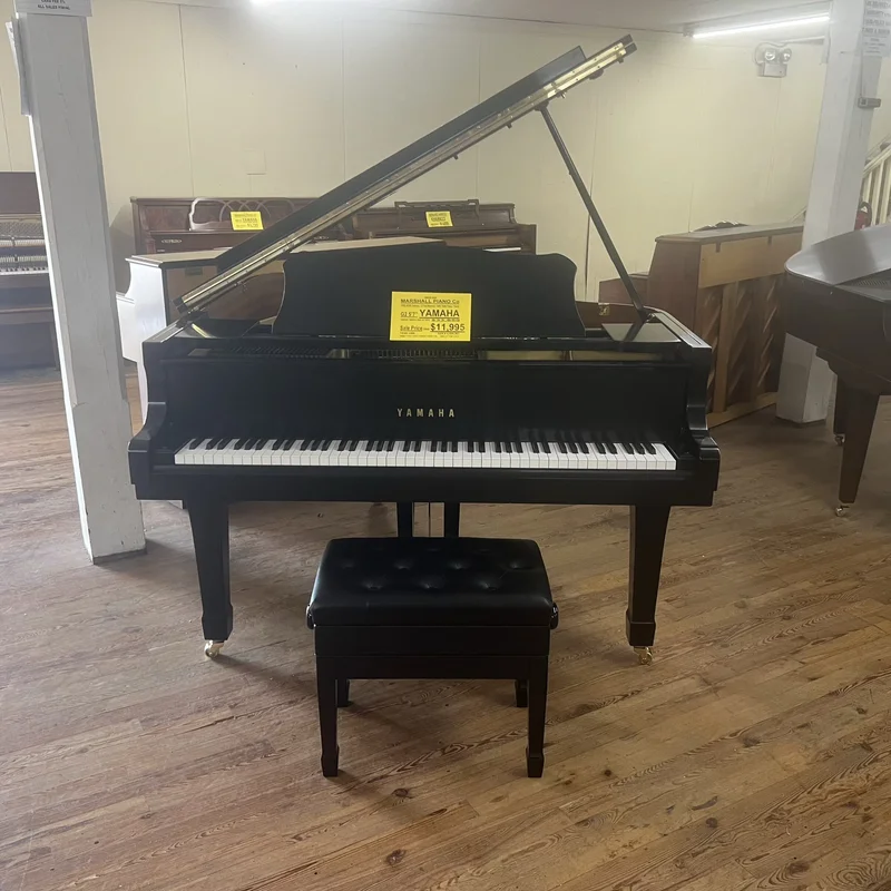 YAMAHA G2 Blue Custom