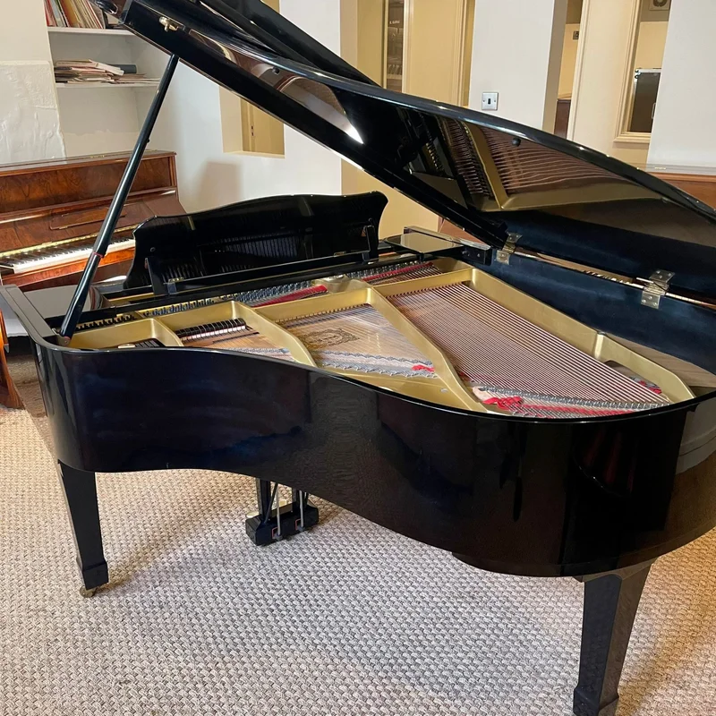 YAMAHA G2 Blue Custom