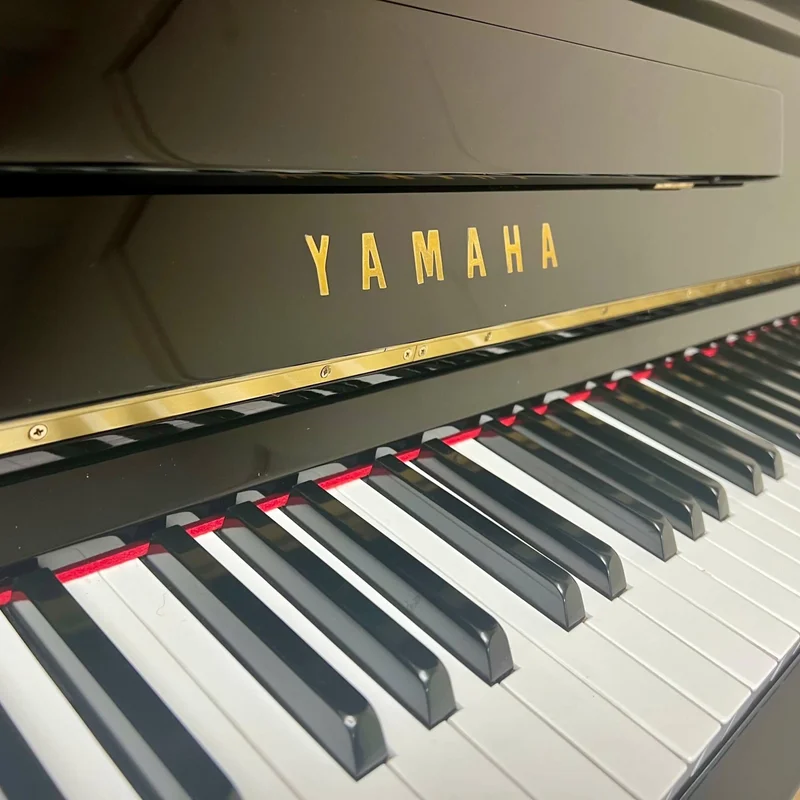YAMAHA M1A