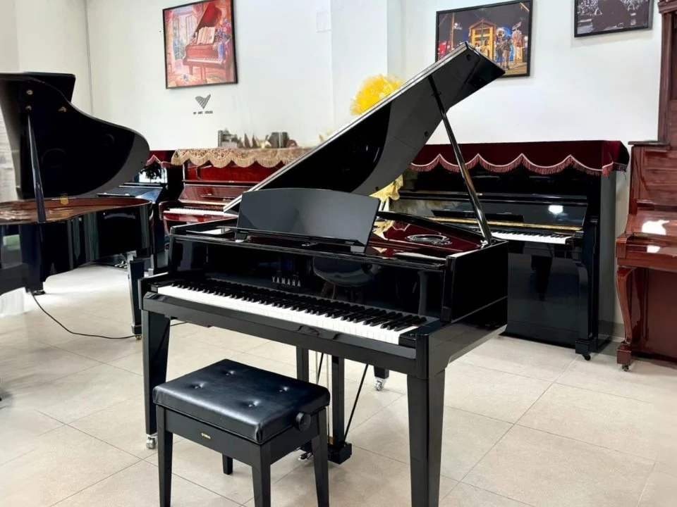 AVANT GRAND N3X (NEW)