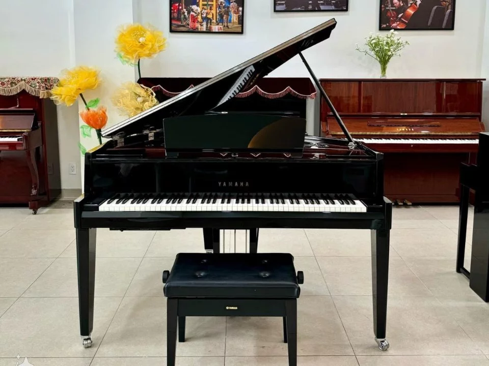 AVANT GRAND N3X (NEW)