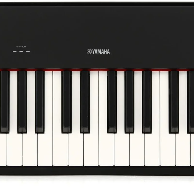 YAMAHA P-225B