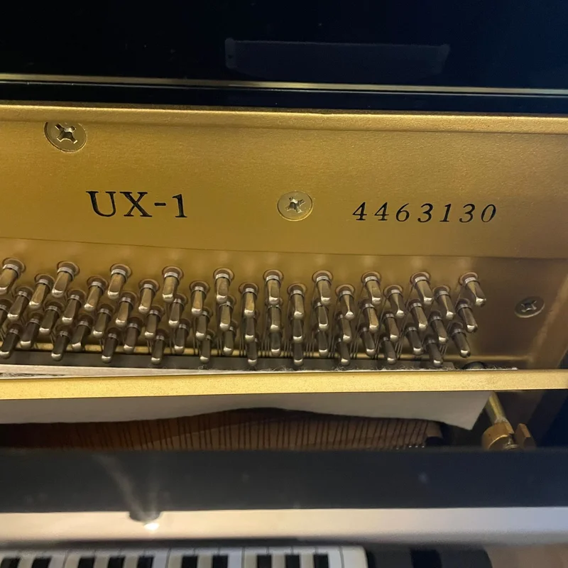 YAMAHA UX1