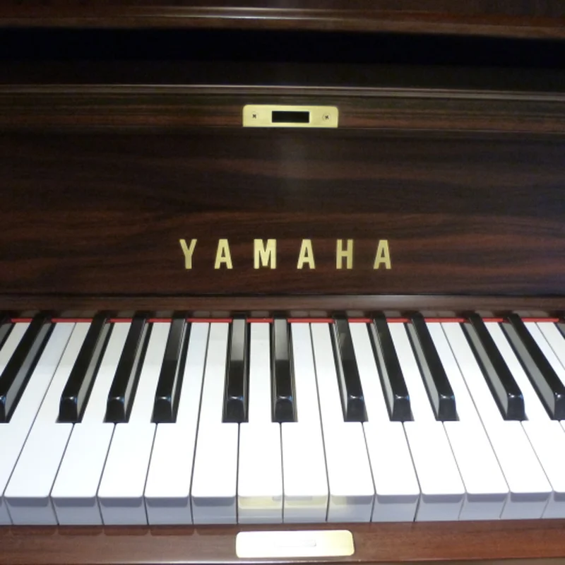 YAMAHA UX50 Rw