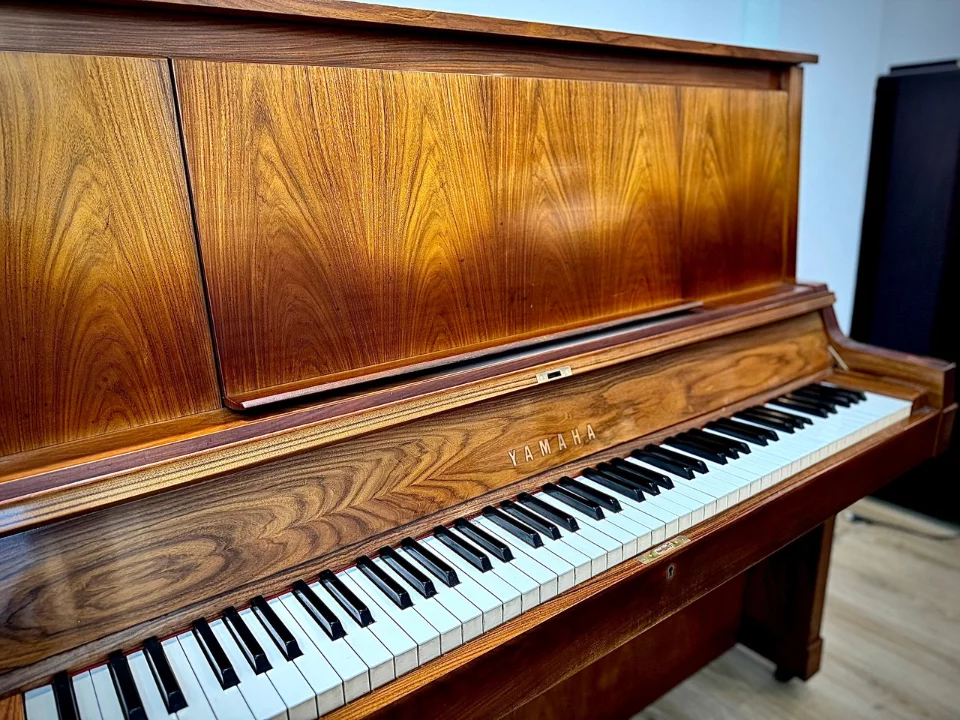 YAMAHA W101 Wn Seri 2.3