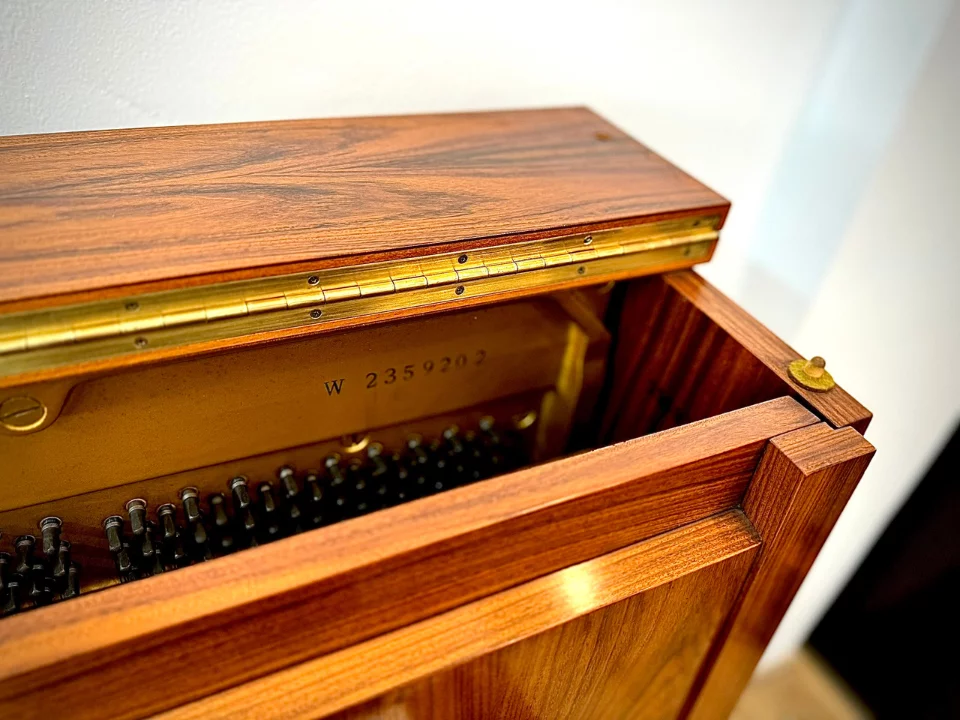 YAMAHA W101 Wn Seri 2.3