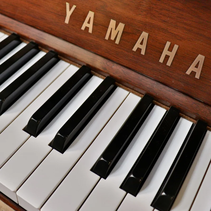 YAMAHA W201B
