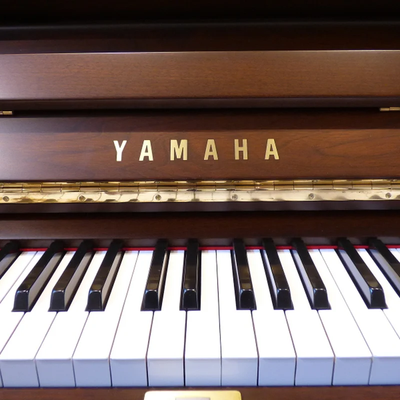YAMAHA WX106W