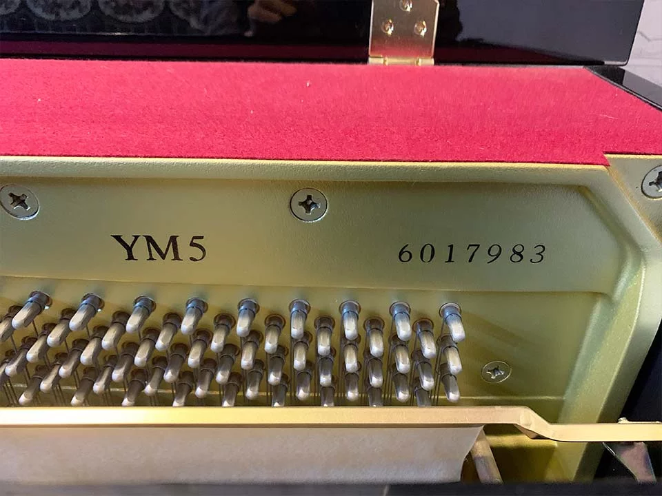 YAMAHA YM5